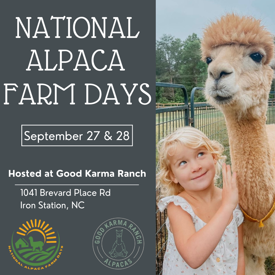 National Alpaca Farm Day Event