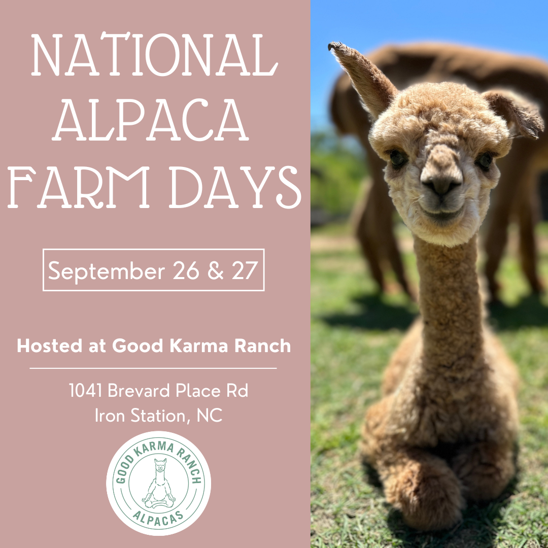 National Alpaca Farm Day Event
