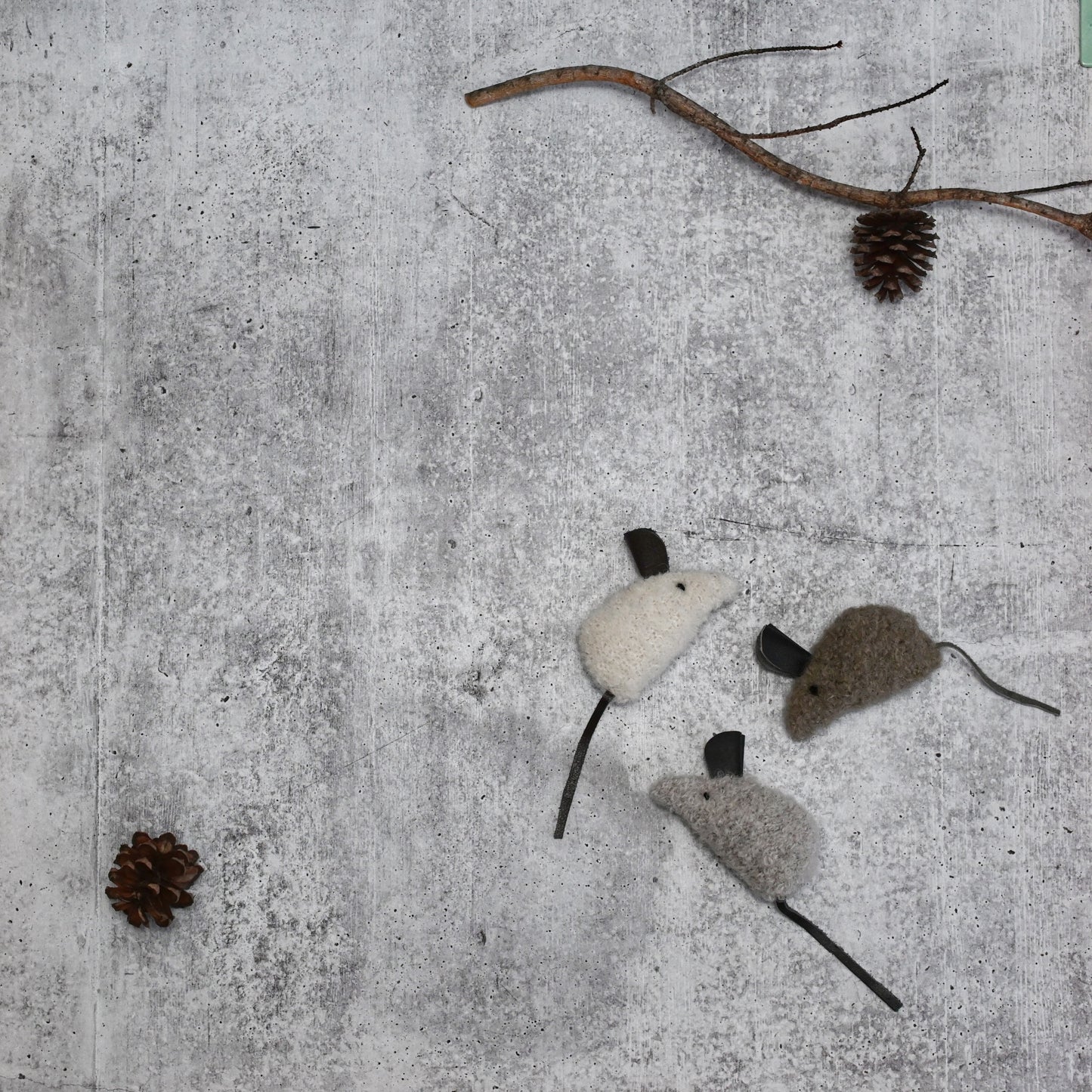 Cat Toys