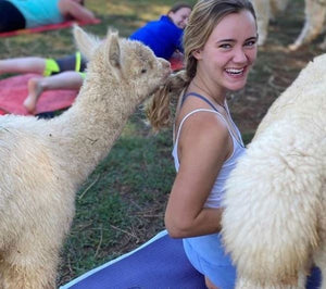 Alpaca Yoga at GKR