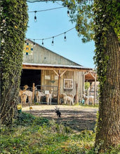 Load image into Gallery viewer, Fairy Gardens and Alpacas
