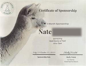 Alpaca Sponsorships