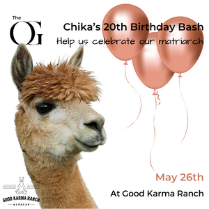 Chika's 20th Birthday Bash