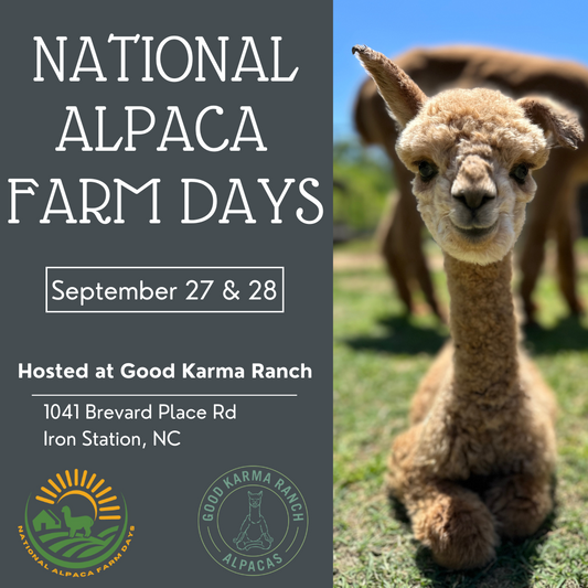 National Alpaca Farm Day Event