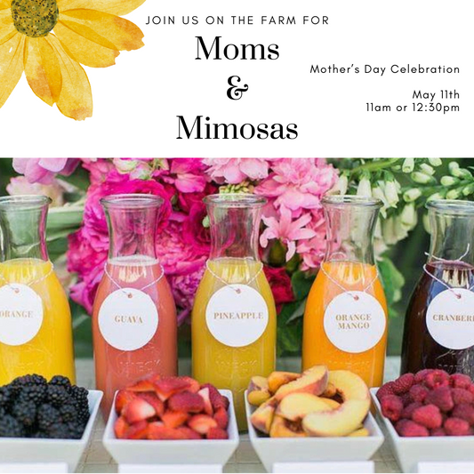 Moms & Mimosas