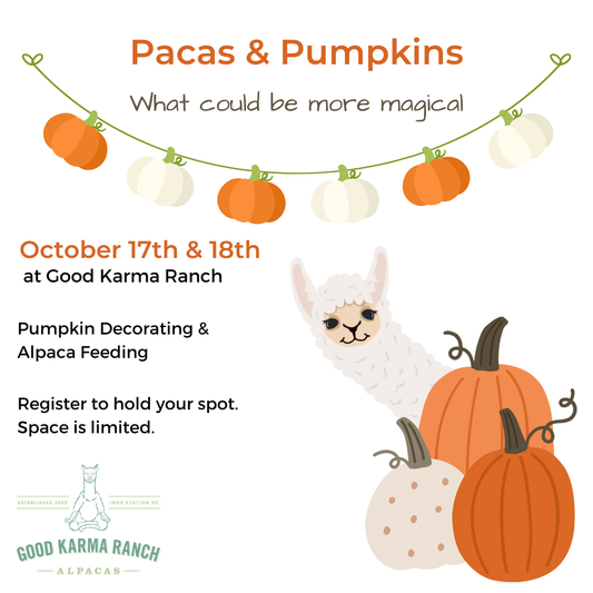 Pacas & Pumpkins