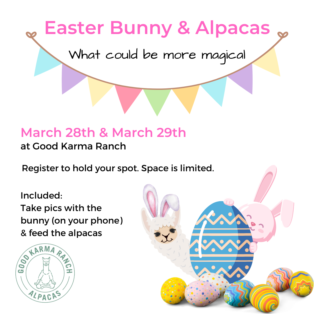 Easter Bunny & Alpacas