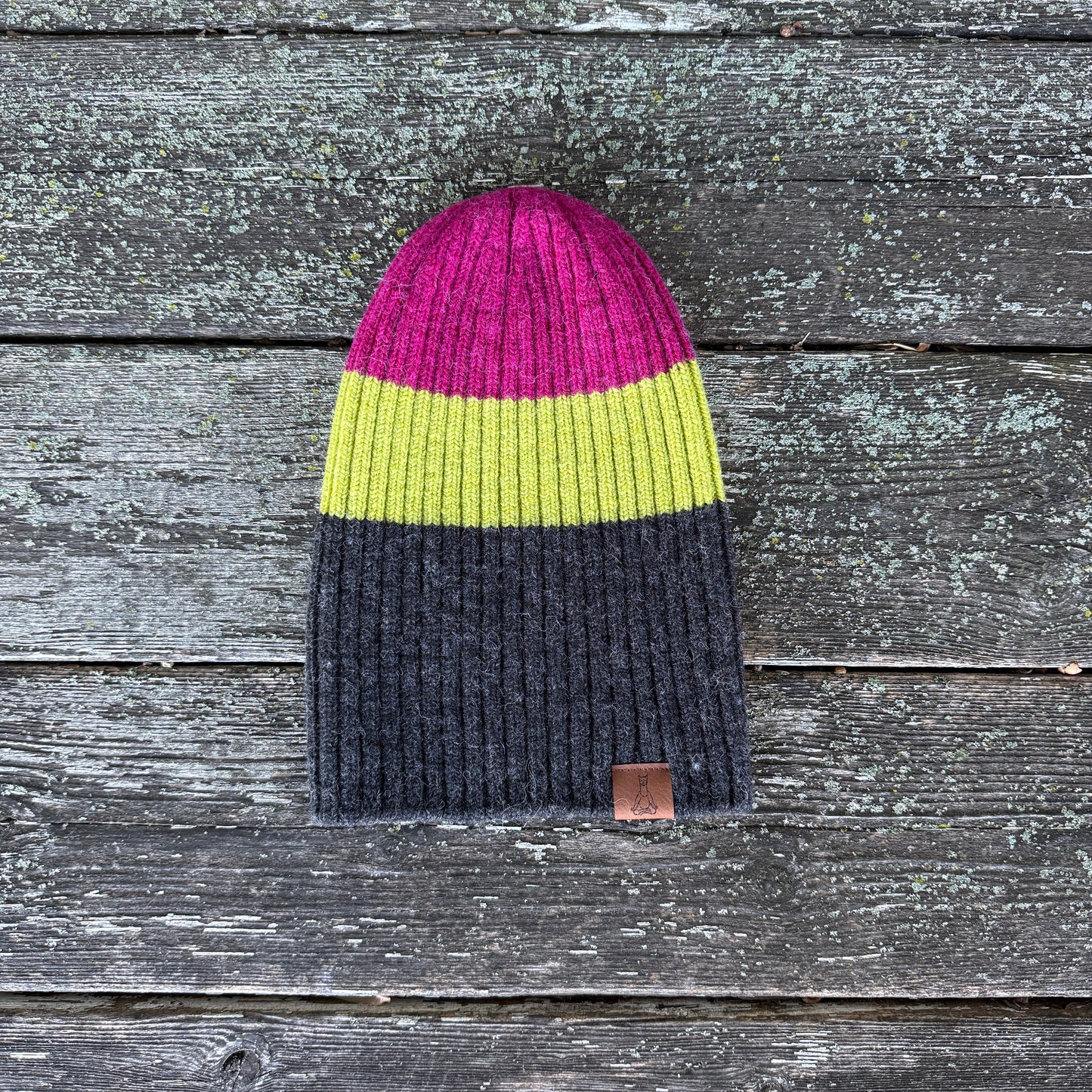 Ribbed Beanie With Logo