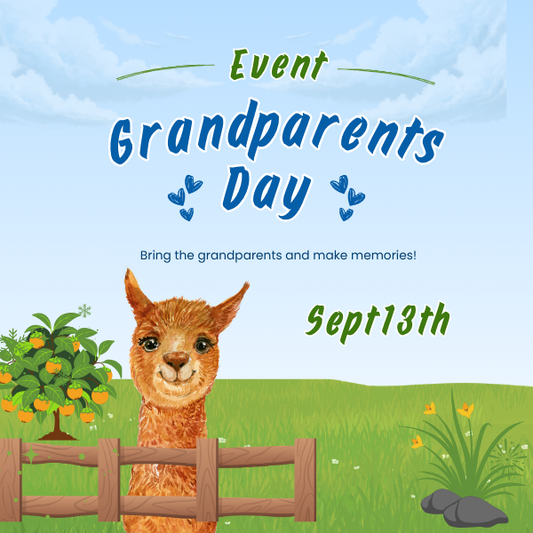 Grands Day at the Ranch