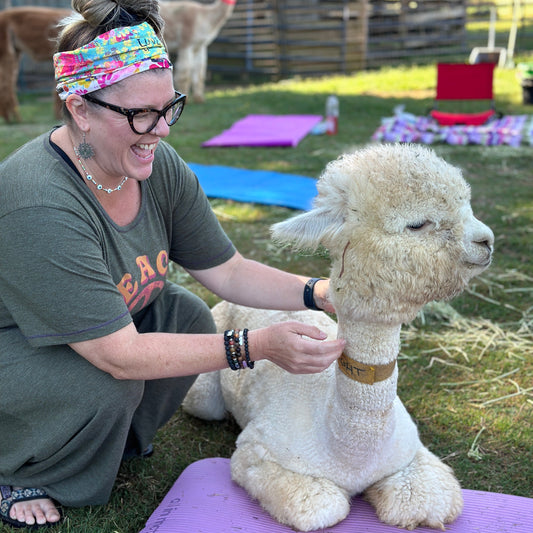 Alpaca Yoga at GKR