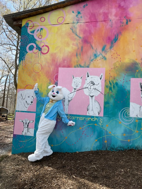 Easter Bunny & Alpacas