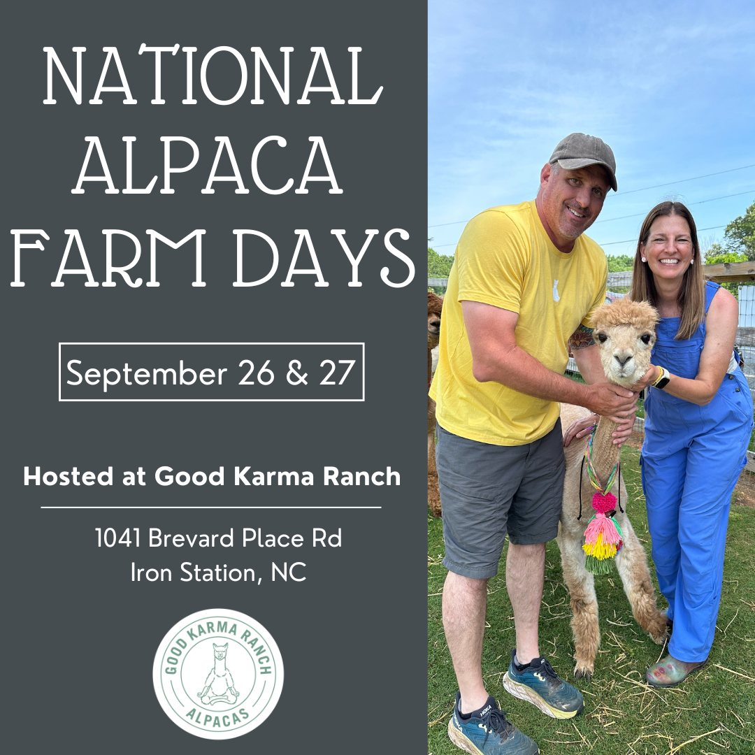 National Alpaca Farm Day Event