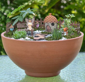 Fairy Gardens and Alpacas