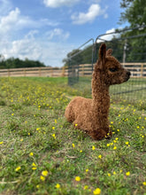 Load image into Gallery viewer, Alpaca Sponsorships
