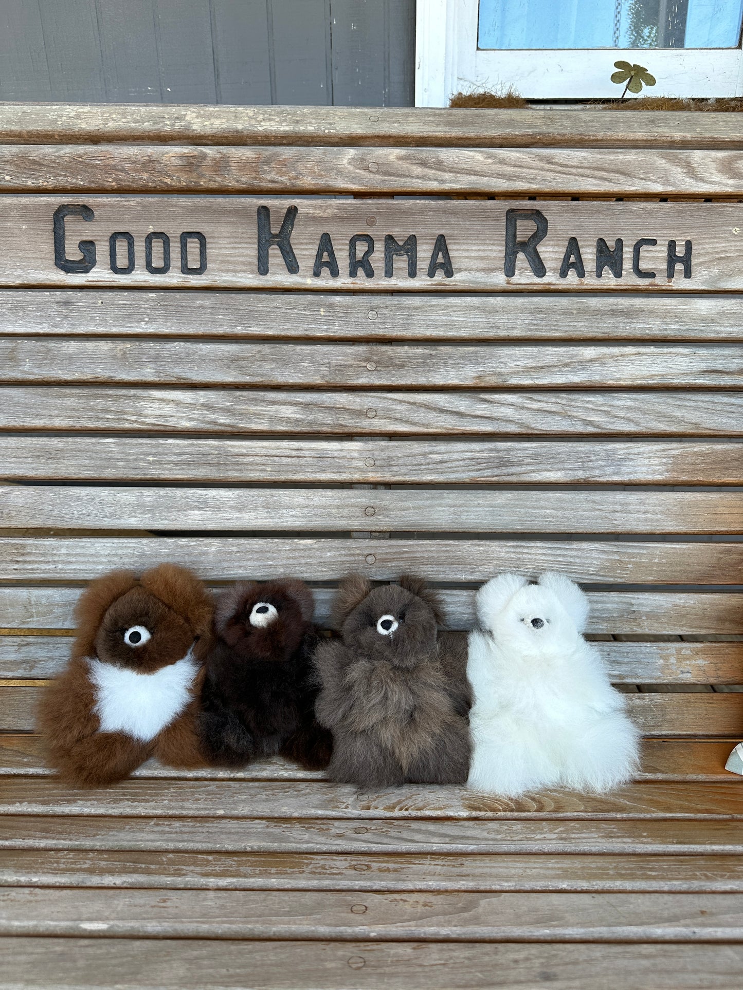 Alpaca Bears